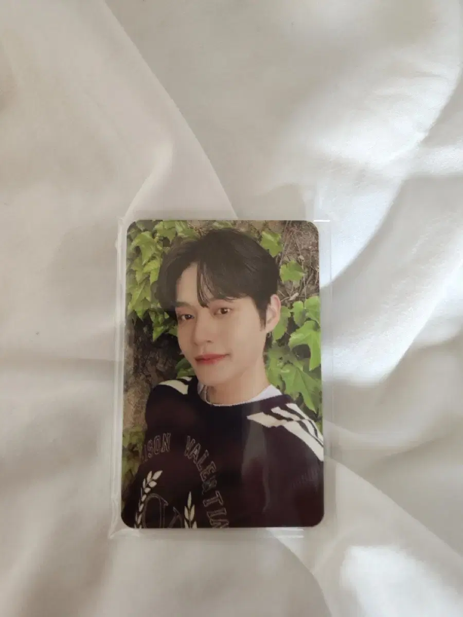 ZB1 First-term Fan Kit Photocards (9 people)