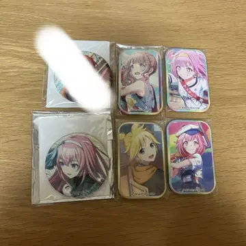 프로세카 스퀴 캔 그리 캔 묶음 판매