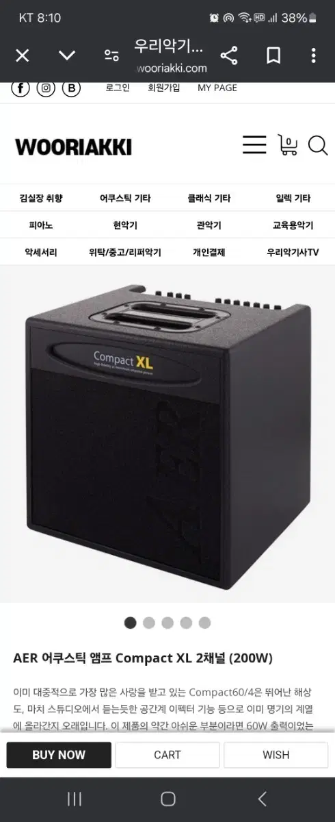 Aer compact XL 200W  명품 어쿠스틱 기타앵프