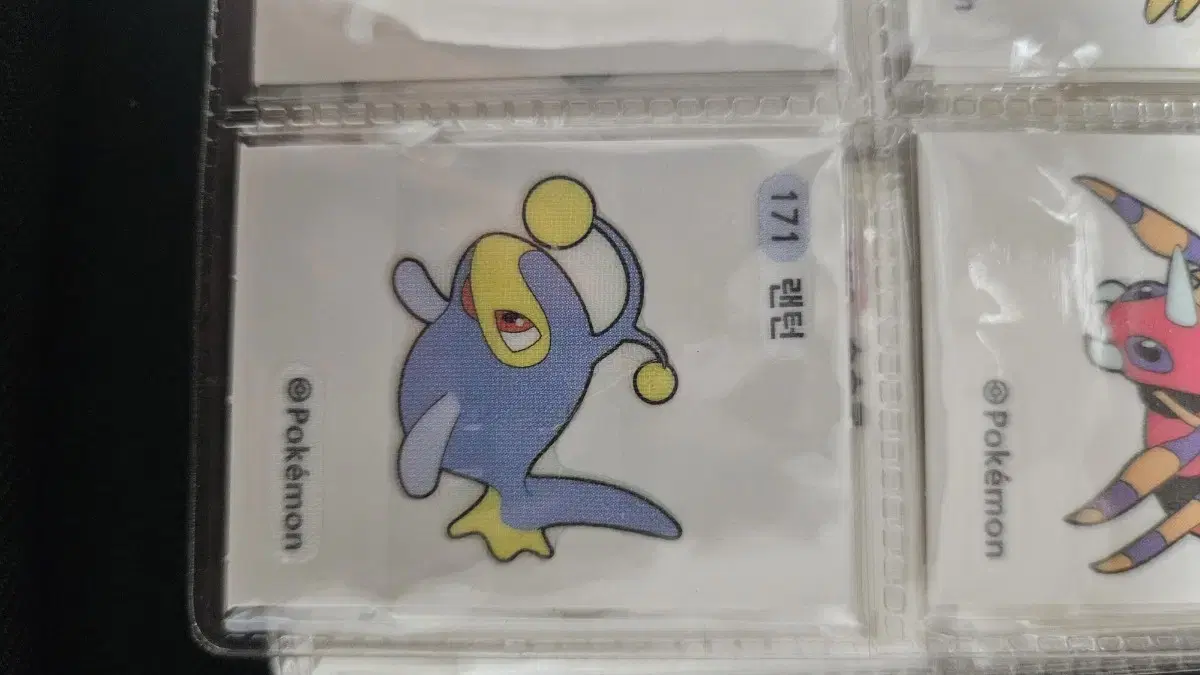 Pokémon Timbule Lantern for Sale