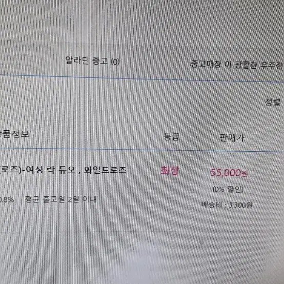 로즈 국내밴드 와일드로즈 후신