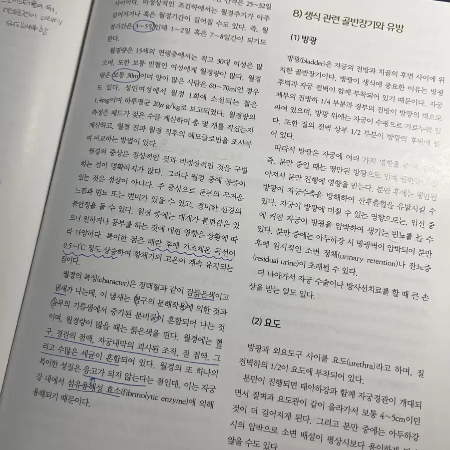 간호 전공 수문사 제10판 여성건강간호학 1 팝니다