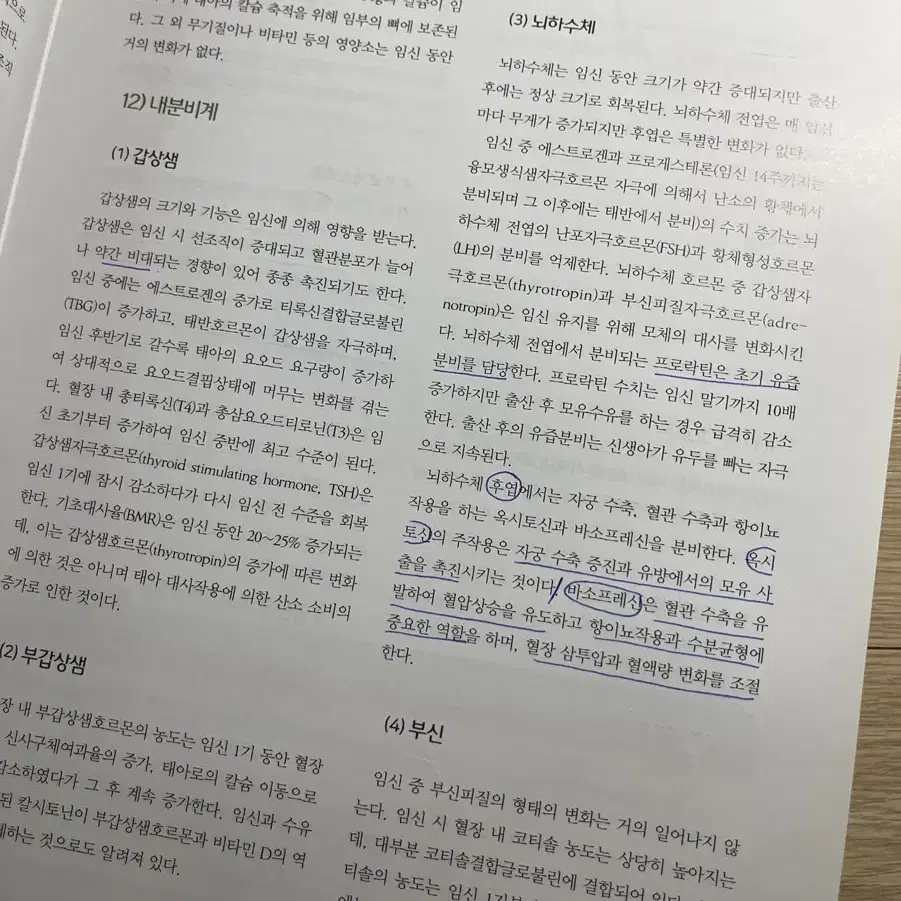 간호 전공 수문사 제10판 여성건강간호학 2 팝니다