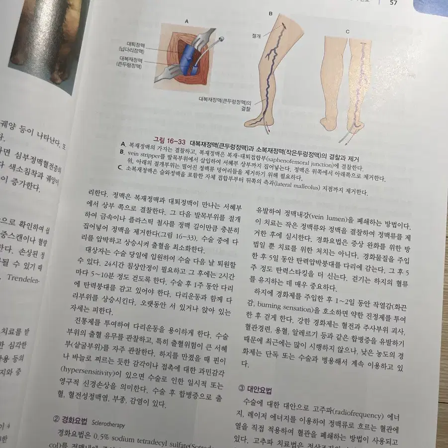 간호 전공 현문사 제8판 성인간호학 하 팝니다