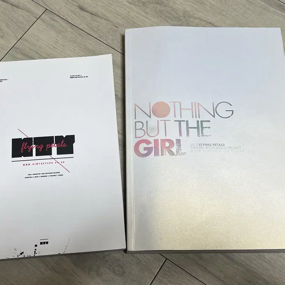 태연 플페 플라잉페탈 팬페이지 굿즈 포토북 양도 소녀시대 dvd