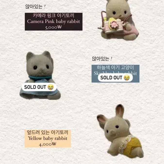 실바니안 아기 토끼