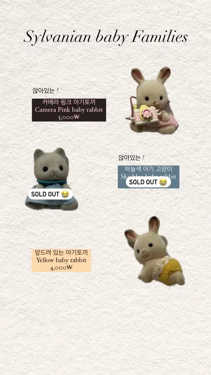 실바니안 아기 토끼