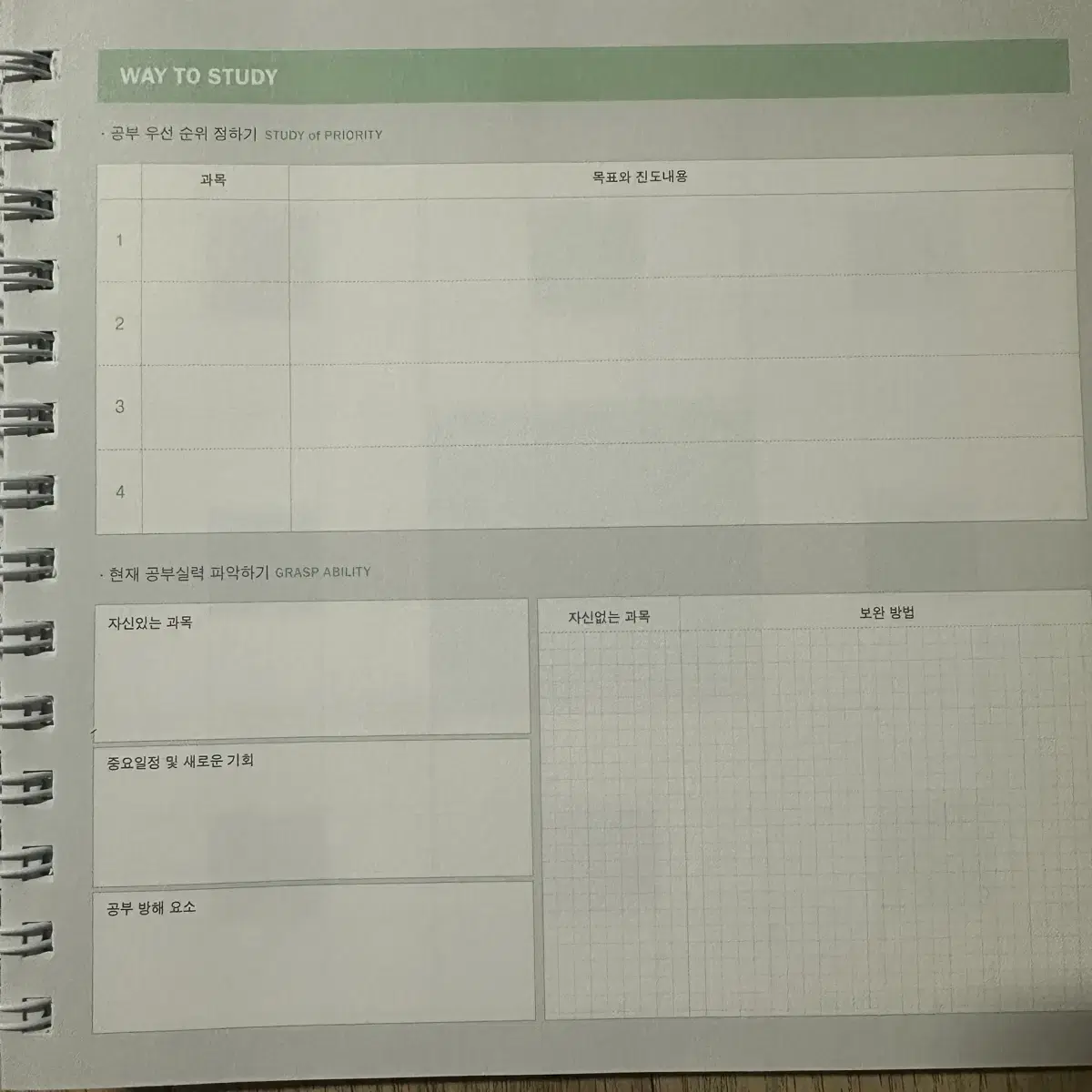 Monster study planner (1year)