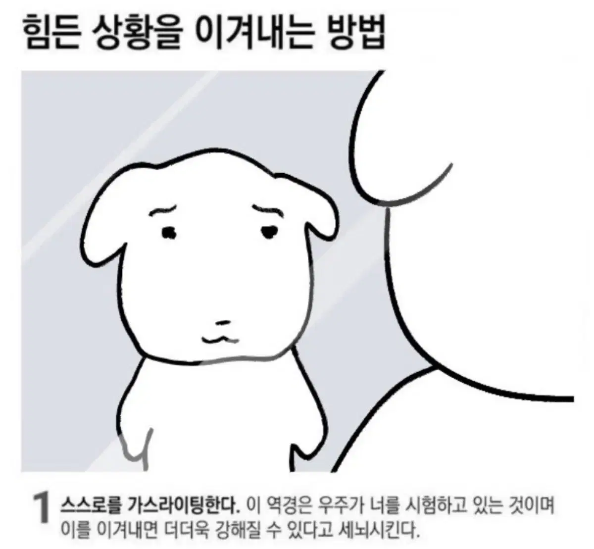 넷플릭스 한달