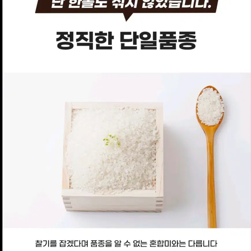 쌀 20kg - 경기미쌀 단일품종 햅쌀 25년 도정 번개최저가