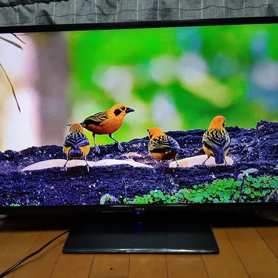 32인치 티비 모니터 LED TV 무결점 양천구