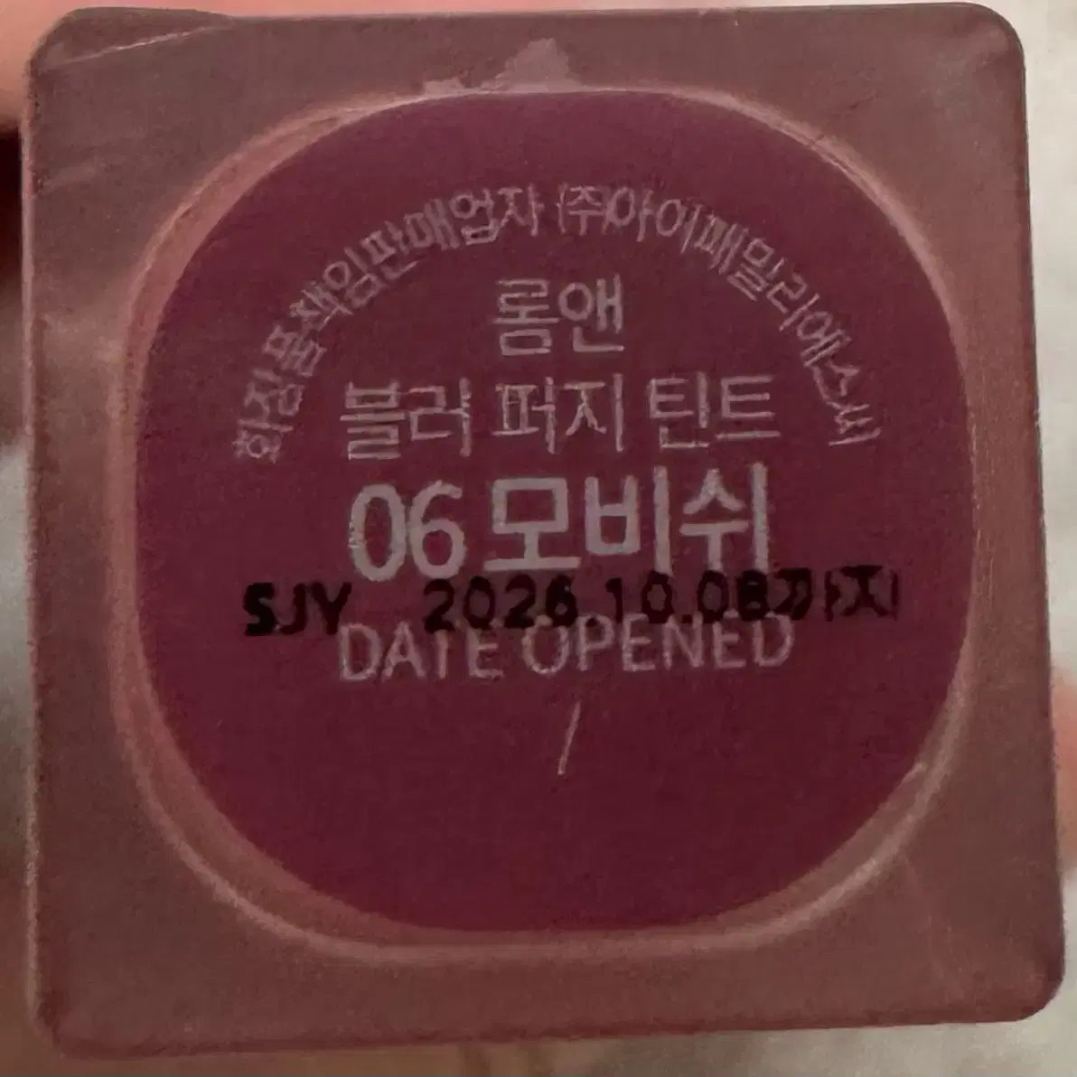 롬앤 블러 퍼지 틴트 06 모비쉬