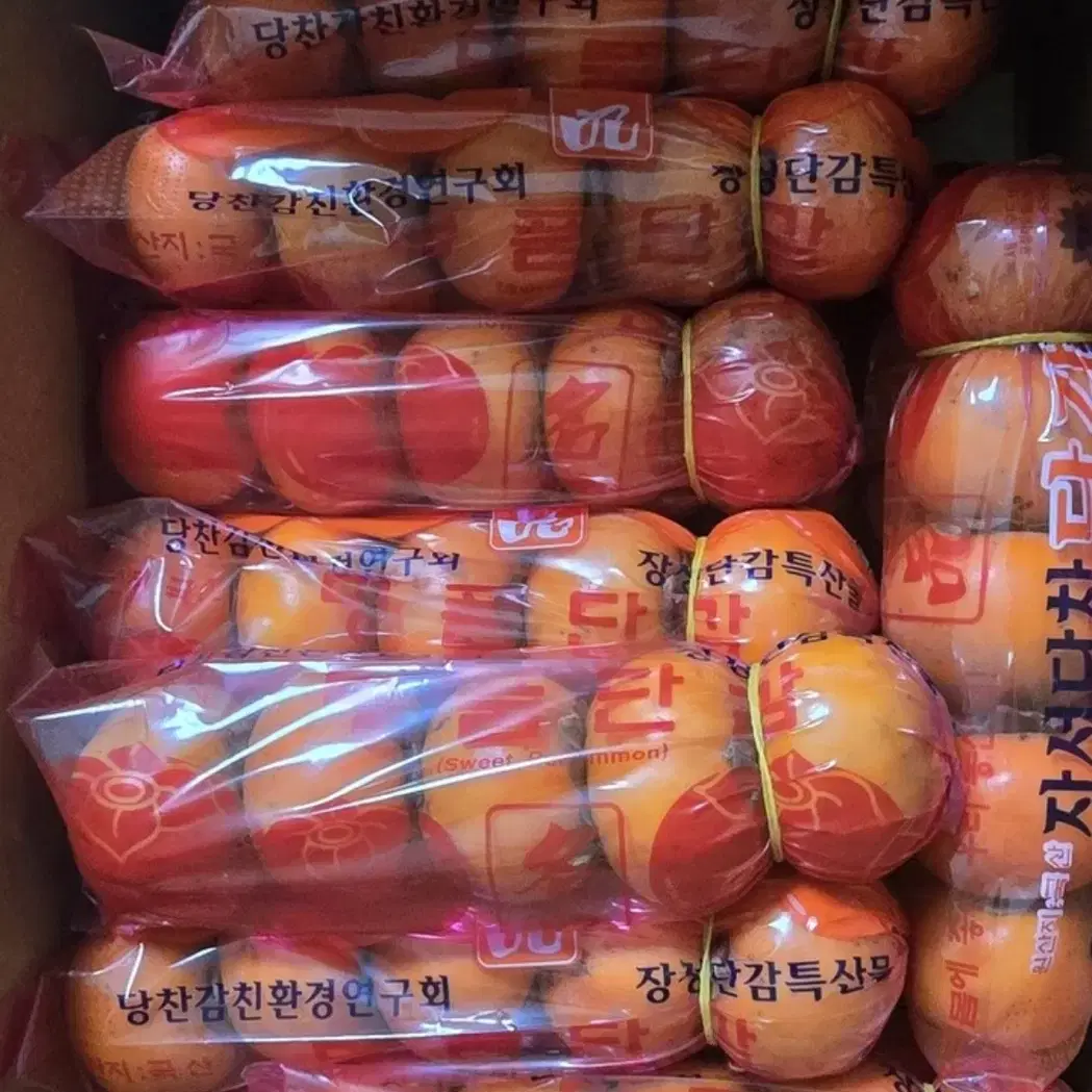 부유단감10kg (가정용 크기 랜덤. 60-80과 )