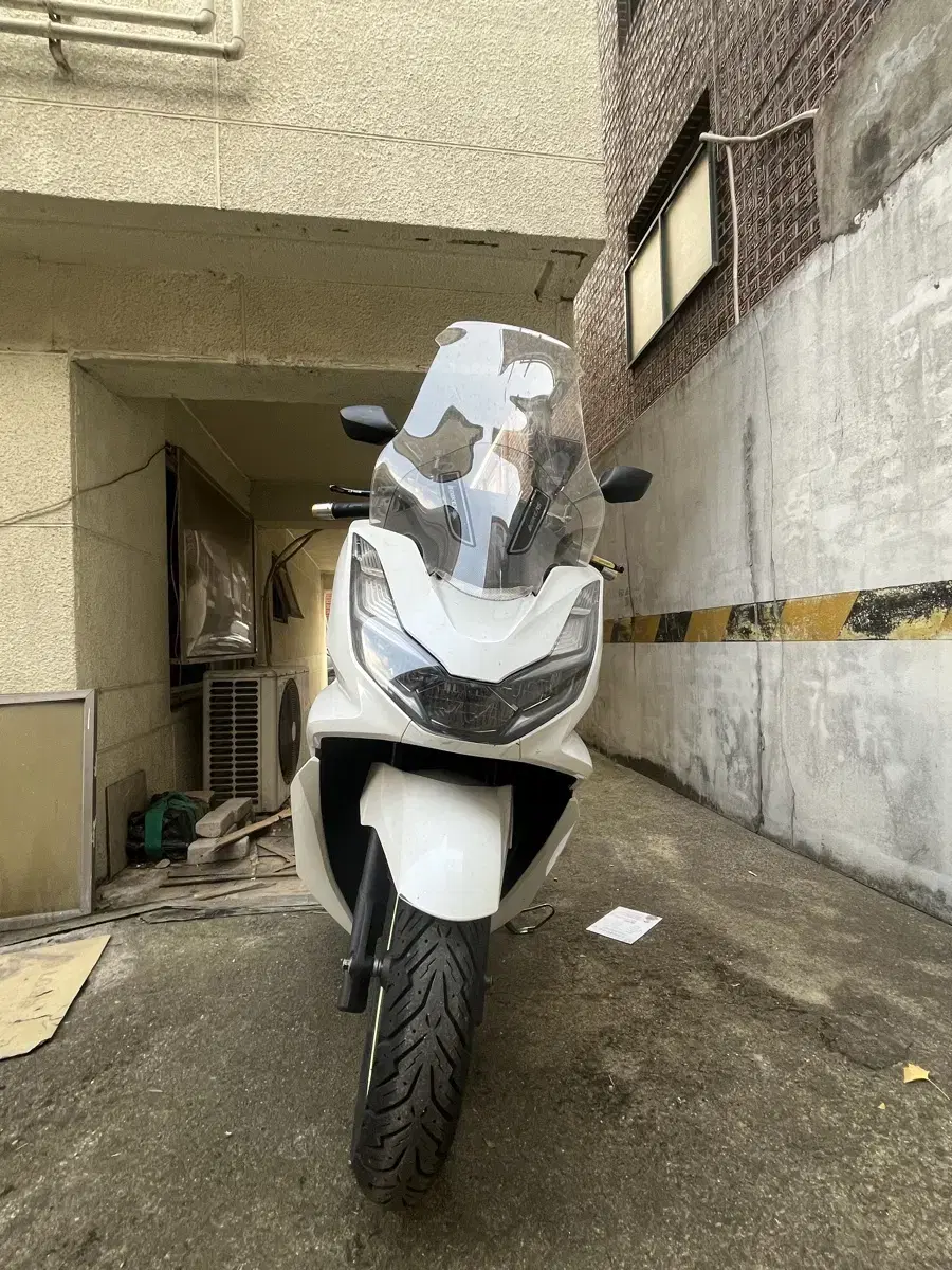 PCX 250->230 금요일까지 안팔리면 센터행