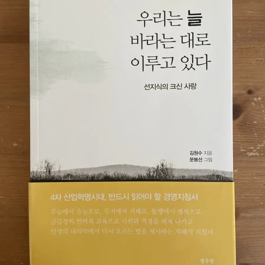 우리는 늘 바라는 대로 이루고 있다 - 김원수