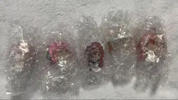 5등분의 신부 꼬꼬댁 세트