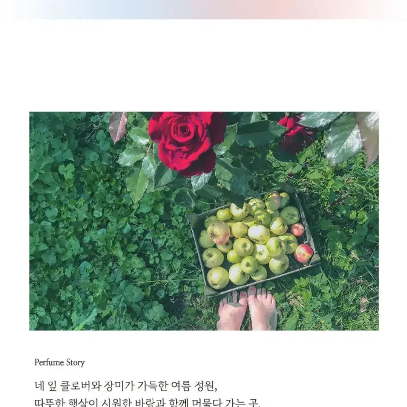 에르메스 운자르뎅 수르 뜨와 30ml 퍼퓸(새상품)