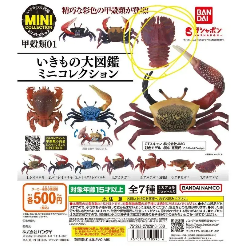 Shellfish, Yeongdeok snow crab, and fiddler prawns for sale. Capsule toys