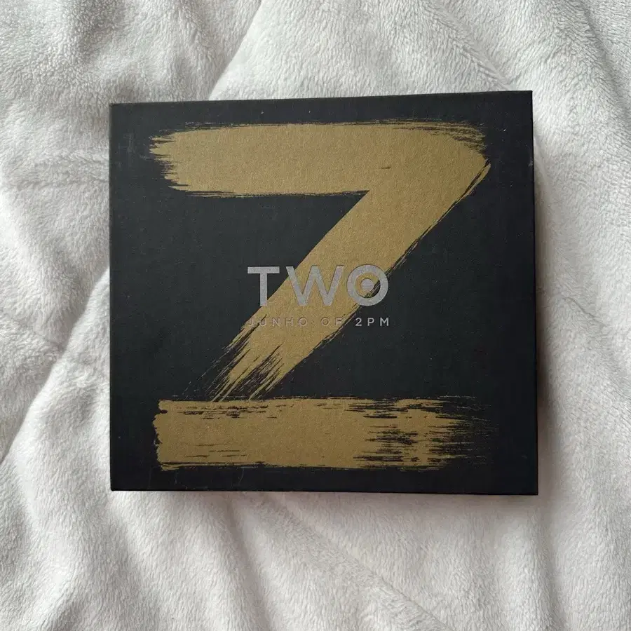 2pm준호 음반앨범 TWO