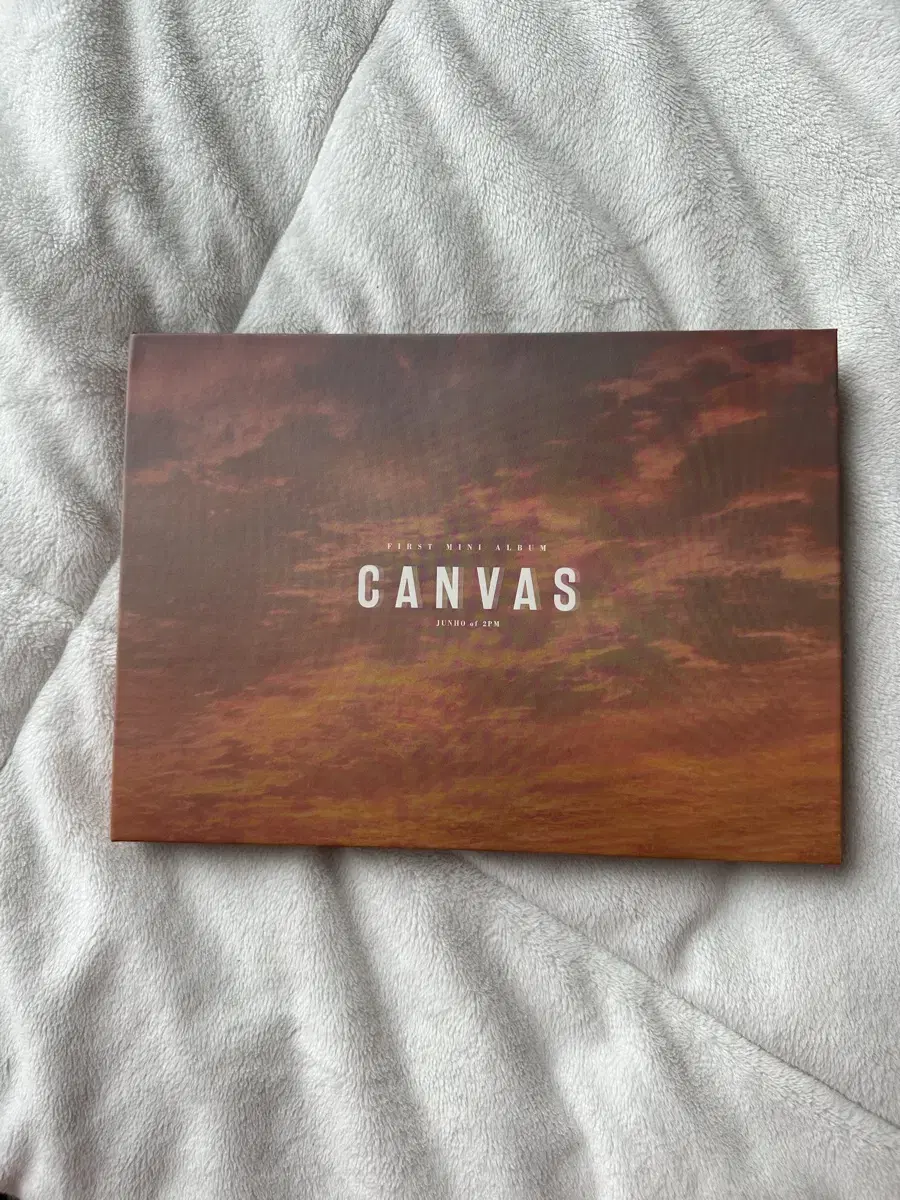 2pm준호 음반앨범 canvas