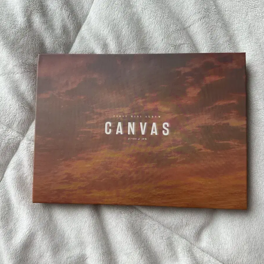 2pm준호 음반앨범 canvas