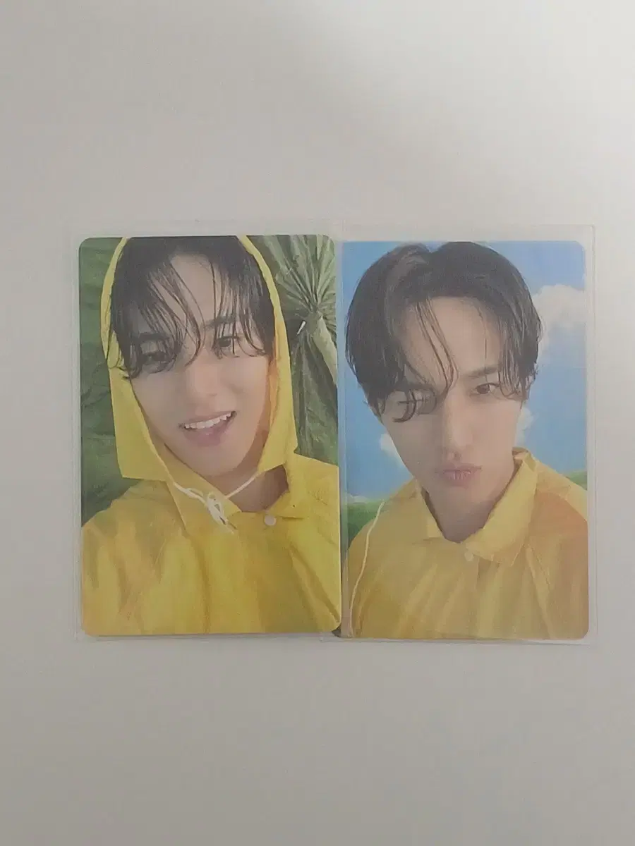 Mingyu photocard Sell in bulk