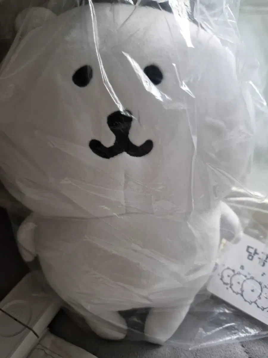 미개봉 농담곰 M (28cm) 판매