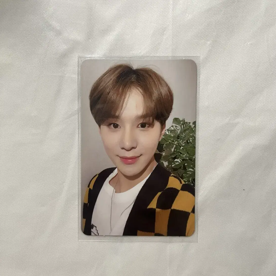 NCT127 레귤레이트 정우