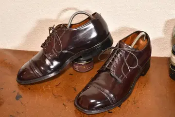 ALDEN #56201 cordovan 6B/D 24cm