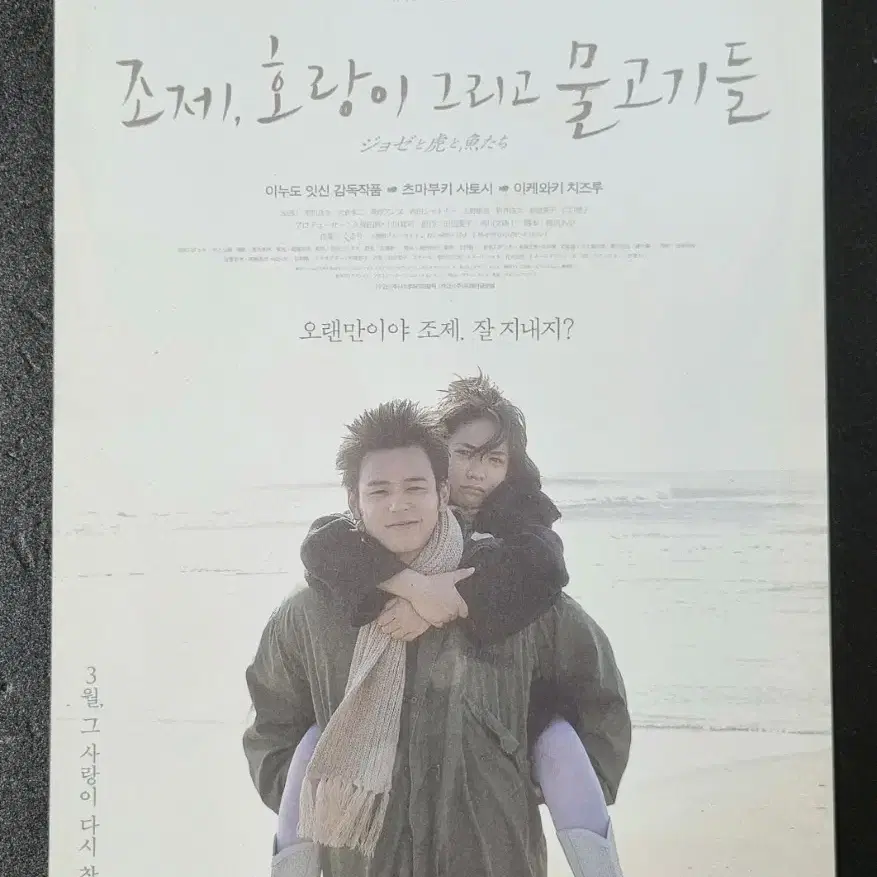 [영화팜플렛] 조제호랑이그리고물고기들 (2017)츠마부키사토시 영화전단지