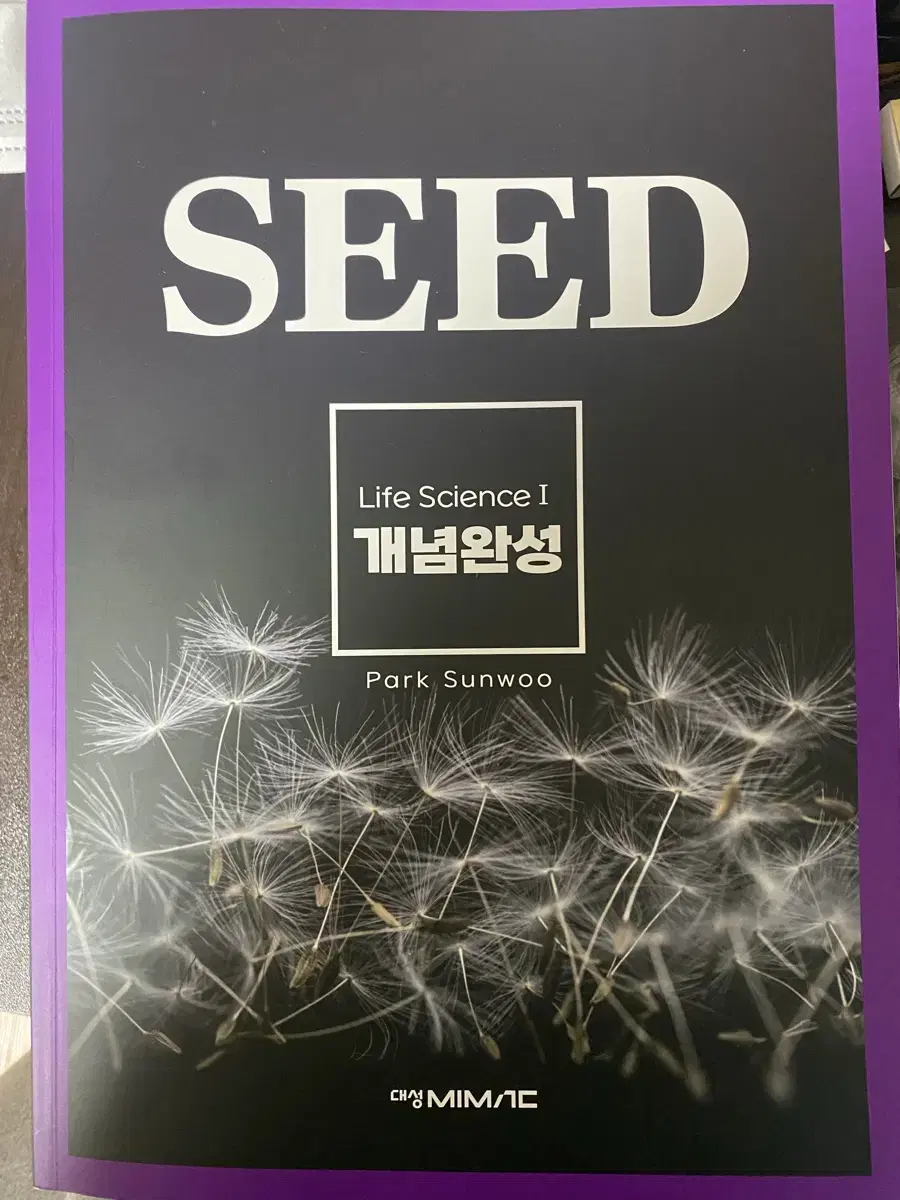 대성 박선우t seed 개념