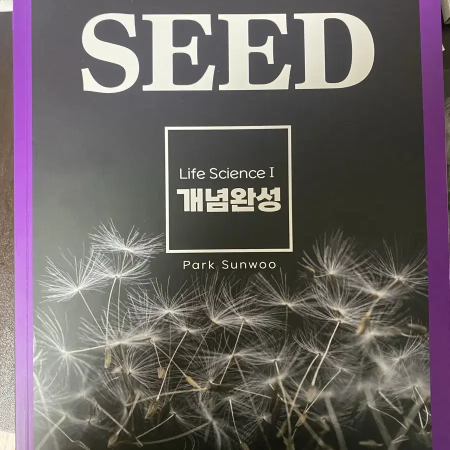 대성 박선우t seed 개념