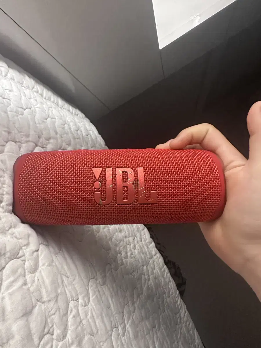 JBL Flip 6 팝니다