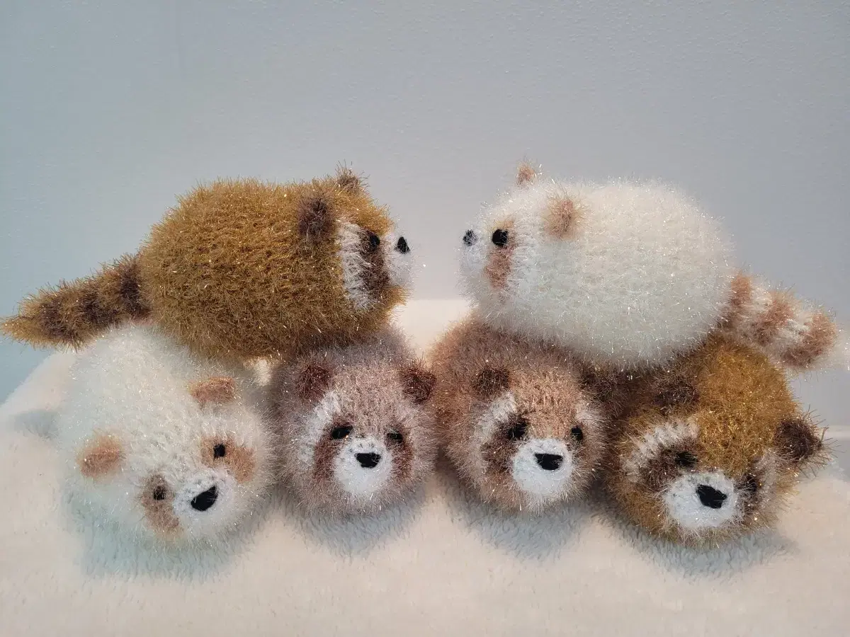 Rupkun, the raccoon scrubber