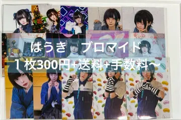 NEON 하우키 브로마이드