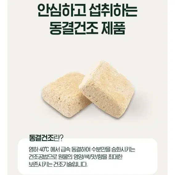 생인삼엔 반하나