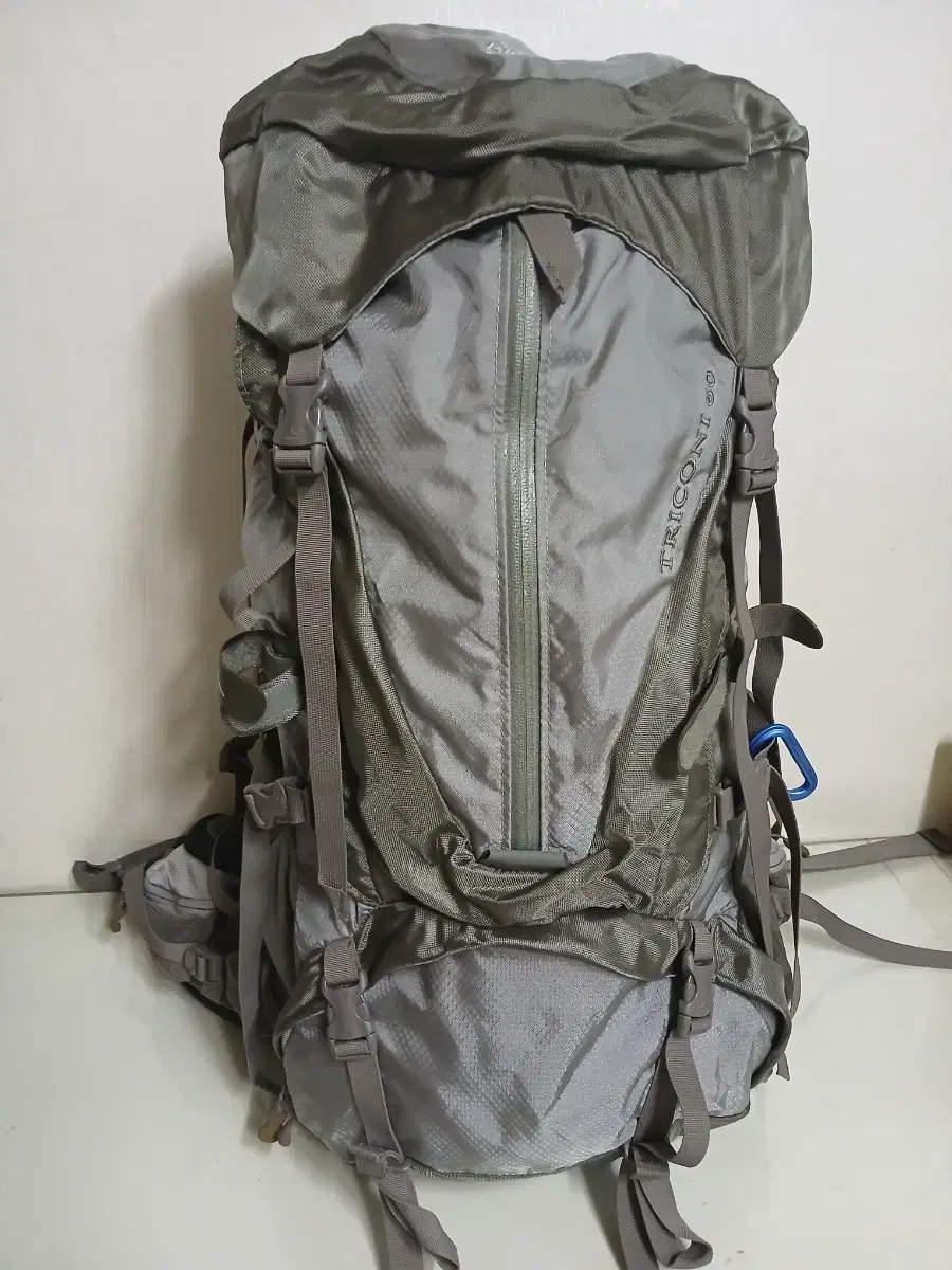 Gregory 60L Single-use