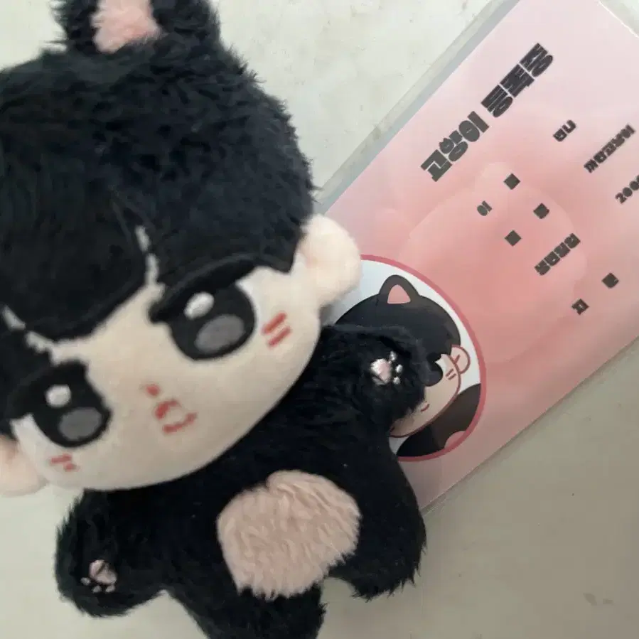 더보이즈 선우 인형 10cm 떤코