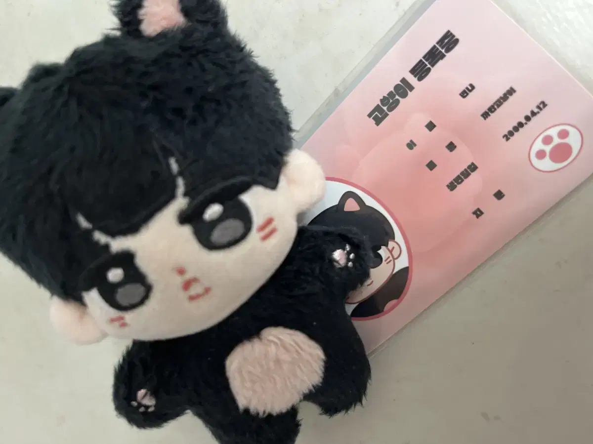 더보이즈 선우 인형 10cm 떤코