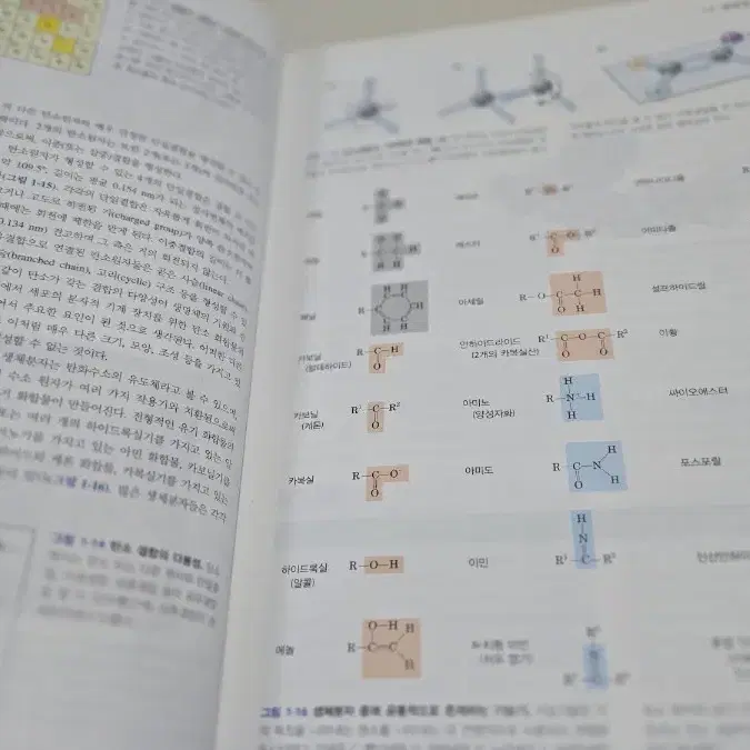 레닌저 생화학 상,하 판매