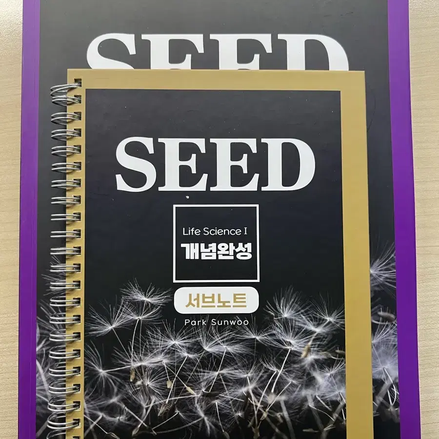 2026 박선우 SEED (필노까지)