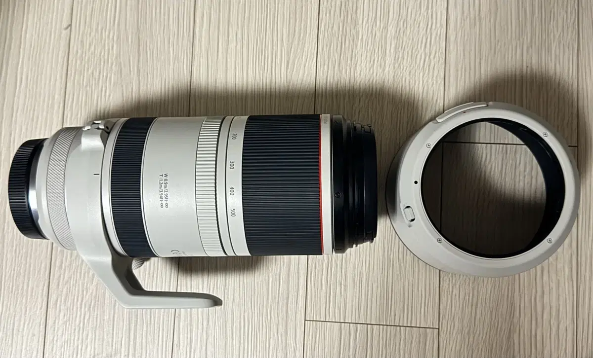 RF100-500mm F4.5-7.1 L IS USM