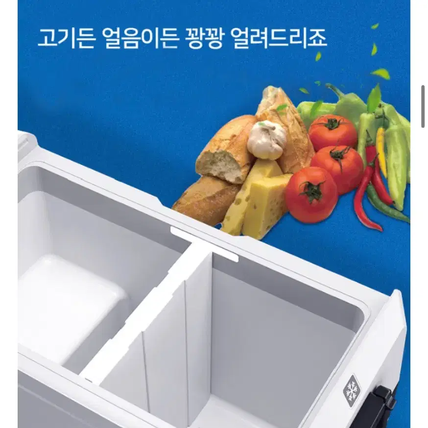 알피쿨 캠핑 냉장냉동고 T50 (50L)