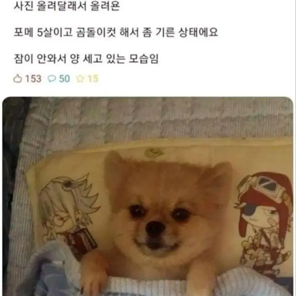 아샷추2님 블러리누드 결제창