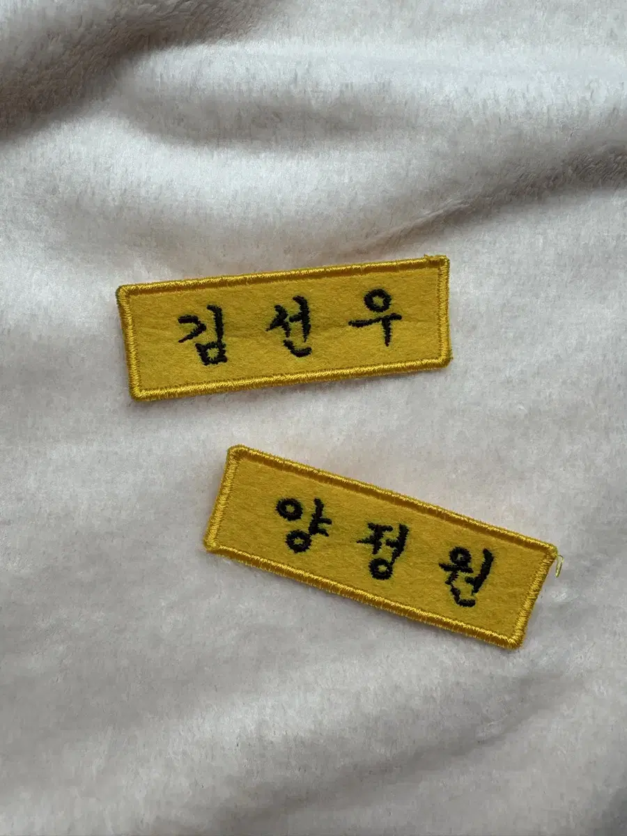 엔하이픈 Enhypen 선우 정원 더보이즈 선우 명찰 양도