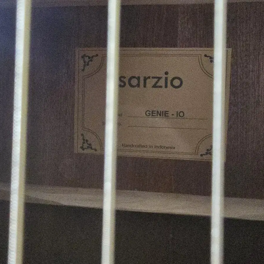 Sarzio 어쿠스틱 기타