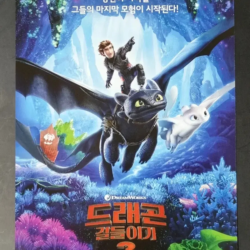 [영화팜플렛] 드래곤길들이기3 (2019) 애니메이션 영화전단지