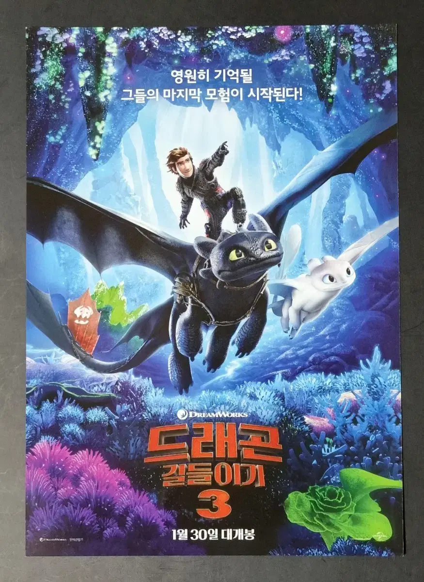 [영화팜플렛] 드래곤길들이기3 (2019) 애니메이션 영화전단지