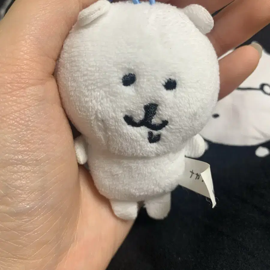 침담곰 급처