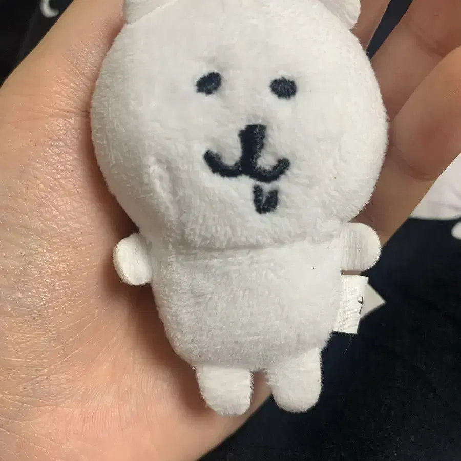 침담곰 급처